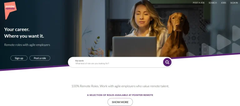 Pointer remote